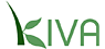 Kiva